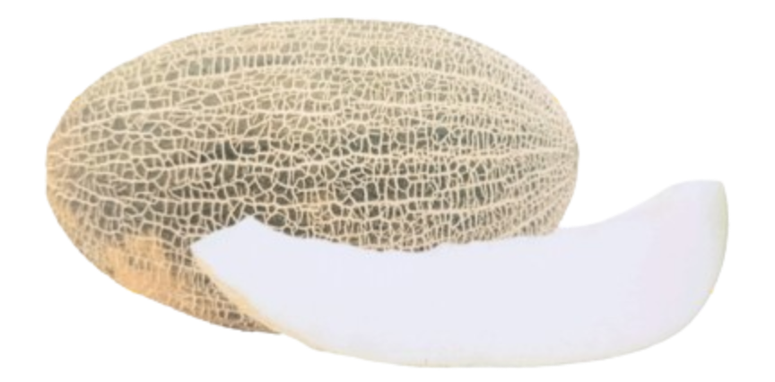 Amudaryo